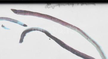 Lossonczy Tamás (1904-2009). Páros. Nyomat, papír. Jelzett. Plexiüvegezett keretben. 21x29,5 cm