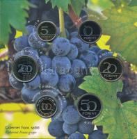 2020. 5Ft-200Ft (6xklf) forgalmi sor + "Villányi borvidék" Cu-Ni-Zn emlékérem szettben T:P...