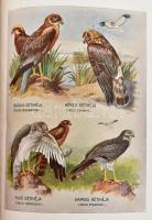 Nemeskéri Kiss Géza-Félix Endre-Glóser Dezső: A hivatásos vadász. I. kötet. Bárcziházi Bárczy Elek e...