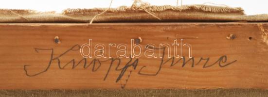 Knopp Imre (1867-1945): Női portré (Gombaszögi Ella?). Olaj, vászon, jelzett, hátoldalán régi kiállí...