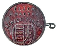 ~1918-1919. "Éljen a Magyar Nemzeti Tanács" festett fém jelvény (25mm) T:XF