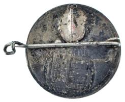 ~1918-1919. "Éljen a Magyar Nemzeti Tanács" festett fém jelvény (25mm) T:XF