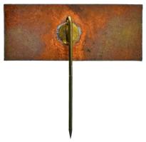 1963. "Budapest - Winkler Centenárium" bronz kitűző (18x43mm) T:AU