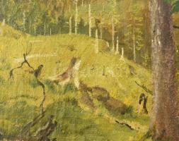 KL (?) monogram jelzéssel: Hegyvidéki táj. Olaj, vászon. 25x33,5 cm. Dekoratív fakeretben