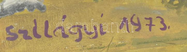 Szilágyi jelzéssel: Hegyvidék. Olaj, karton. Szélein kissé sérült. 30x41,5 cm