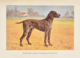 Diezel,[Karl Emil]: Diezels Niederjagd. Dreizehnte Auflage hrsg. von Gustav Freiherrn von Nordenflyc...