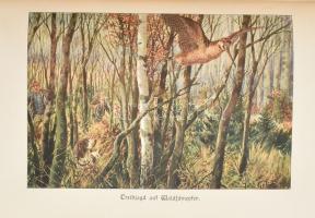 Diezel,[Karl Emil]: Diezels Niederjagd. Dreizehnte Auflage hrsg. von Gustav Freiherrn von Nordenflyc...