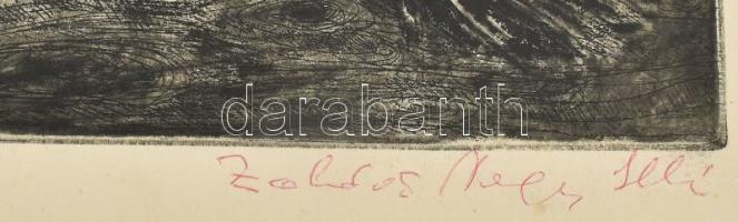 Zsoldos Nagy Illés (?-?): Csendélet. Rézkarc, papír, jelzett, 39,5×29 cm