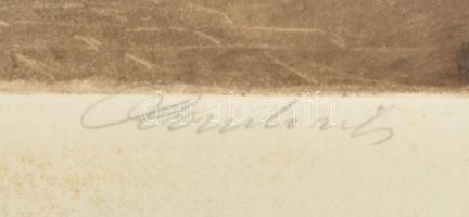 Paulovits Pál (1892-1975): A konyhában. Színezett rézkarc, papír, jelzett, lap széle foltos, 26×34 c...