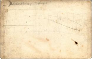 Badacsony, szüret. photo (vágott / cut)