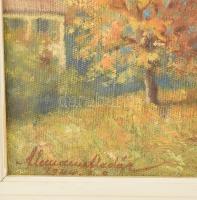 Olvashatatlan jelzéssel (... Aladár?): Panoráma a városra. Olaj, vászon. Javított. Fakeretben. 40x50...