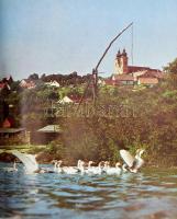 Rácz Endre: Tihany. Illyés Gyula előszavával. Bp., 1978, Corvina. Gazdag egészoldalas képanyaggal il...