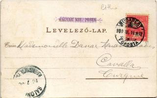 1900 Budapest, Nemzeti Múzeum, Akadémia. Art Nouveau, floral, litho (EK)