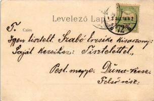 1903 Budapest, Lánchíd és budai látkép. litho (szakadás / tear)