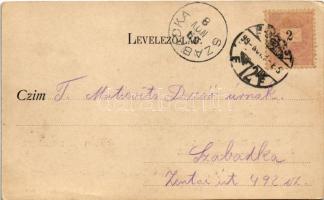 1899 (Vorläufer) Budapest I. Kilátás a Margitsziget felé. Divald Károly 15. sz. (vágott / cut)