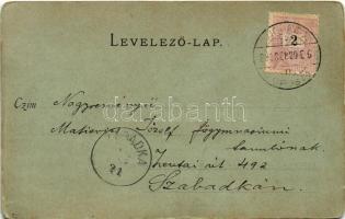 1899 (Vorläufer) Budapest I. Kilátás a Krisztinaváros felől, Királyi vár, Lánchíd, Tabán. Divald Kár...