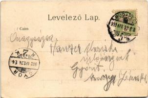 1902 Budapest VI. Nyugati pályaudvar, vasútállomás. litho (EK)