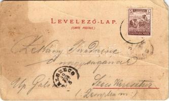 1899 (Vorläufer) Budapest, látkép, Lánchíd, Bazilika, Vigadó, Andrássy út, lóvasút, gőzhajó. Art Nou...