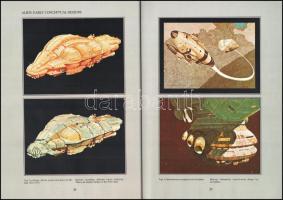 Chris Foss: 21st Century Foss. Brighton,(1978.),Dragon's Dream Book. Angol nyelven. Első kiadás...