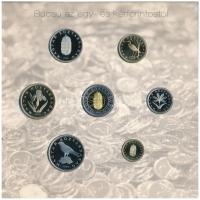 2008. 1Ft-100Ft (7xklf) "Búcsú az egy- és kétforintostól" forgalmi sor szettben T:PP Adamo...