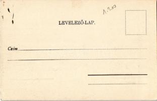 Tátra, Magas-Tátra, Vysoké Tatry; Tarpatakfüred, Lomnici-csúcs / villa, mountain peak (EK)