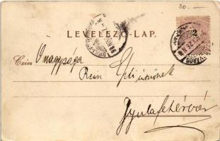 1898 (Vorläufer) Magyar paraszt. Rigler J. E. r.-t. 3031. / Ungarischer Bauer / Hungarian folklore, ...