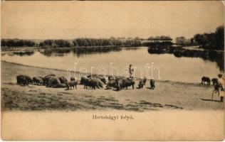 Hortobágy, Hortobágyi folyó. R. Mosinger (fl)