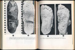 Katona Géza: A nyomok azonosítási vizsgálata a büntetőeljárásban. Bp., 1965, Közigazgatási és Jogi K...