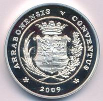 Lebó Ferenc (1960-) 2008. "50 éves a Győri Éremgyűjtők Egyesülete" jelzett Ag emlékérem (4...