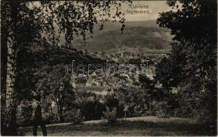 Segesvár, Schässburg, Sighisoara; látkép. Fritz Teutsch kiadása / general view