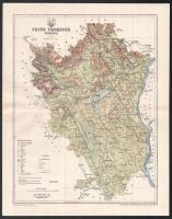 1896 Fejér vármegye térképe, tervezte: Gönczy Pál, 1 : 300.000, Bp., Posner Károly Lajos és Fia, a Pallas Nagy Lexikona melléklete, 29,5x23,5 cm