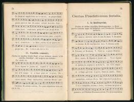 Magister Choralis - Theoretisch praktische Anweisung zum Gregorianischen Kirchengesange nach den Gru...