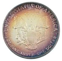 Amerikai Egyesült Államok 1996. 1$ Ag "American Silver Eagle" (0,999/31,34g) T:BU patina
...