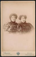 1896 Czullik Betti és Czullik Inez, Czullik Ágost, a Liechtenstein hercegi kertek igazgatója lányain...