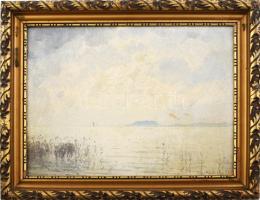 Olvashatatlan jelzéssel: Balaton. Olaj, karton, ksiebb felületi sérüléssel, fakeretben. 29,5×39 cm