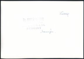 cca 1976 Dr. Sidló Gábor miskolci fotóművész pecsétjével jelzett, vintage fotóművészeti alkotás (Mer...