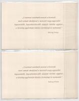 2000. 2000Ft "Millennium" (2x) sorszámkövetők, bontatlan díszcsomagolásban T:UNC 
Adamo F...