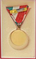 ~1960. "Kitűnő Tanuló" zománcozott, aranyozott Al kitüntetés mellszalagon, tokban T:AU
