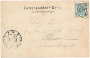 1900 Przemysl, Budowa mostu na Sanie w roku 1894 / Bau der neuen San Brücke im Jahre 1894 / Construc...