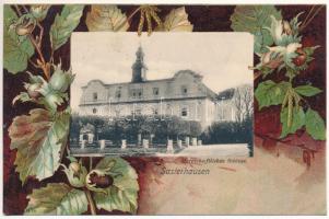 1907 Zastruze, Sasterhausen (Zarów); Herrschaftliches Schloss / castle. A. Schuch Art Nouveau, litho (EK)