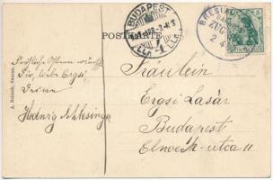 1907 Zastruze, Sasterhausen (Zarów); Herrschaftliches Schloss / castle. A. Schuch Art Nouveau, litho...