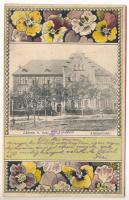 1900 Zabrze, Amtsgericht / District Court. Hans Mücke Art Nouveau, floral, litho (EK)