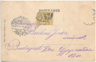 1900 Zabrze, Amtsgericht / District Court. Hans Mücke Art Nouveau, floral, litho (EK)