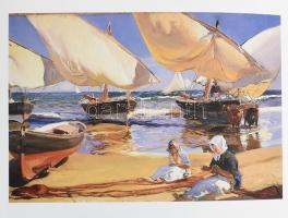 Joaquín Sorolla 1863-1923. Edited by José Luis Díez and Javier Barón. Madrid, 2009., Museo Nacional ...