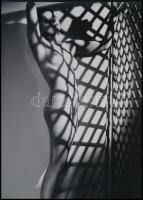 cca 1928 Bécs, Manassé műtermében készült aktfotó (reggeli napfényben), Botta Dénes (1921-2010) budapesti fotóművész aktfotó gyűjteményéből 1 db modern nagyítás, jelzés nélkül, 21x15 cm