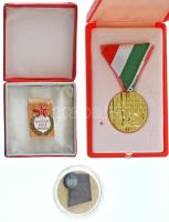 ~1960. "Az Oktatásügy Kiváló Dolgozója" zománcozott fém jelvény eredeti tokban + 1987. "Pedagógus Szolgálati Emlékérem" aranyozott bronz kitüntetés mellszalagon, eredeti tokban (36mm) + DN "65 év - Vasdiplomás pedagógus" fém kitüntető jelvény műanyag tokban T:UNC,AU