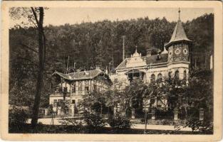 Trencsénteplic-fürdő, Kúpele Trencianske Teplice; Villa Alberti a Pötefi / nyaraló / villa