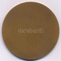 1967. "Csepel Vas- és Fémművek 75 év 1892-1967" egyoldalas bronz emlékérem (60mm) T:AU