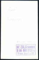 cca 1974 Dr. Zala Sándor budapesti fotóművész pecséttel jelzett, feliratozott, vintage fotóművészeti...