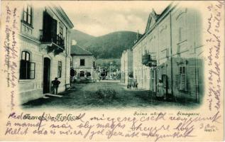 1900 Trencsénteplic, Trencianske Teplice; Sina utca, a Sina és Háromszív házzal. Edgar Schmidt kiadása / Sinagasse / street view, villas